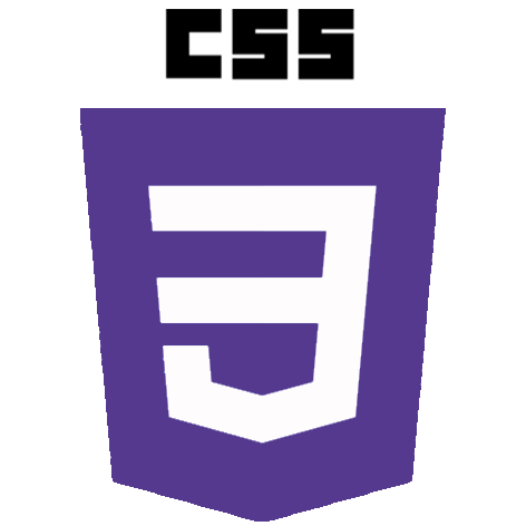 css3 logo